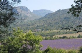 Field of 56 hectares in the Baronnies Drôme