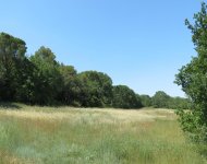 DROME PROVENCALE Old farm property vast outbuildings silkworm nursery