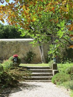 VAUCLUSE. Near a village old restored mas with 2 guest houses and a pool