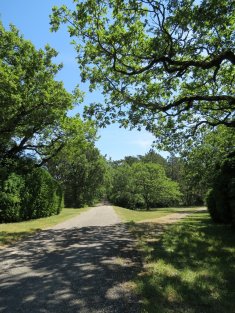 DROME PROVENCALE Exceptionnelle Propriété de 106 ha et superbe Mas