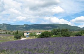 Mas restauré à Le Poet Sigillat - Drôme